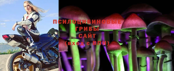 гидра Богородск