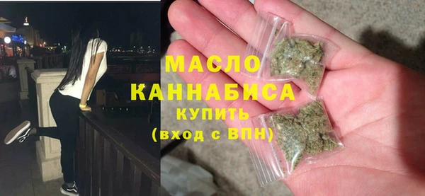 гидра Богородск