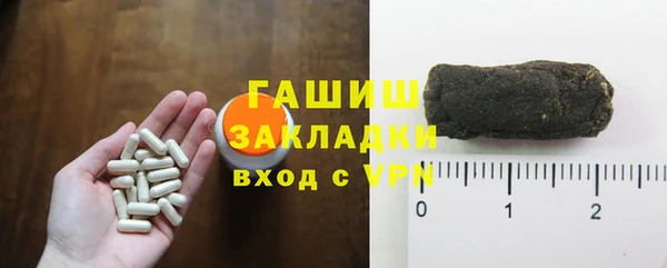 гидра Богородск
