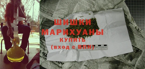 гидра Богородск