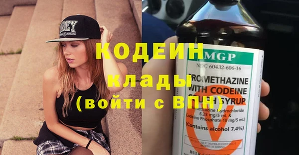 гидра Богородск