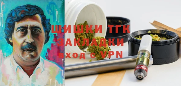 гидра Богородск
